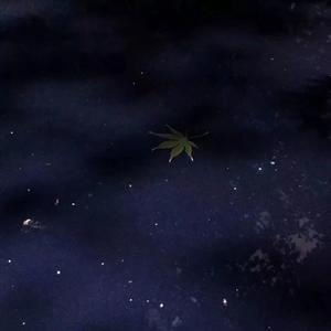 南京回忆录(合作版)