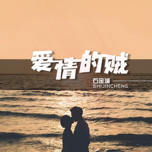 爱情的贼 (DJ默涵版)