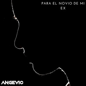 Para El Novio De Mi Ex