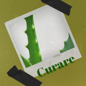 Red Sails In The Sunset