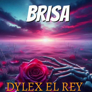 Brisa