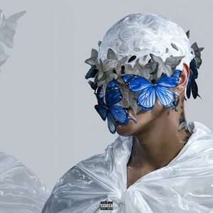 逐渐成名(Going Famous)