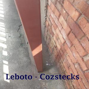 Cozstecks