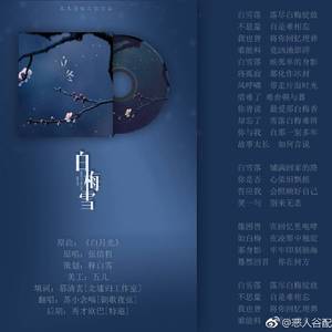24节气系列广播剧之冬季ED—《白梅雪》（翻自 张信哲）