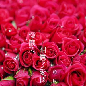 你让我相信了爱情