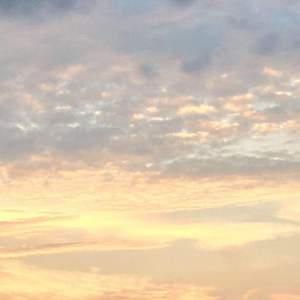 天上飞（片段）