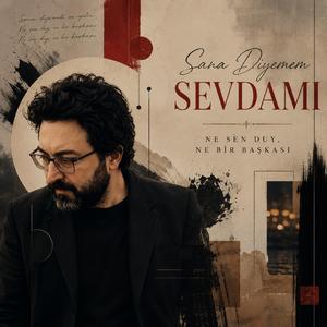 Sana Diyemem Sevdamı