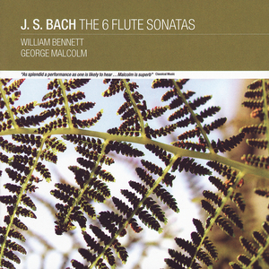 Sonata for Flute No.1 in B minor, BWV 1030:3. Presto