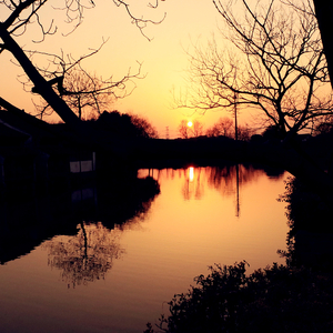 过期恋人 钢琴曲