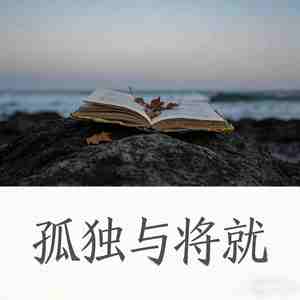 孤独与将就