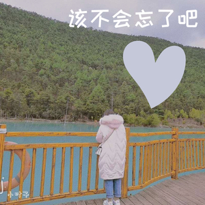 该不会忘了吧（翻自 本兮）