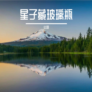 星子藏玻璃瓶