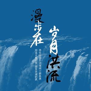 漫步在岁月洪流