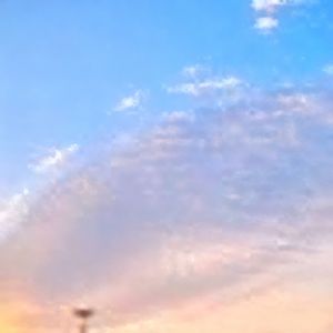 楚霸王