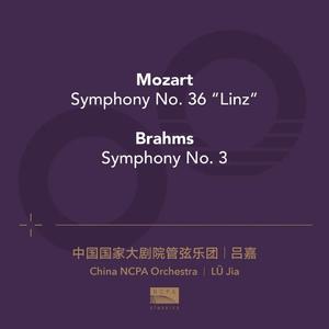 勃拉姆斯：F大调第三交响曲：第三乐章 · 略快的小快板（Brahms: Symphony No. 3 in F Major III. Poco allegretto）