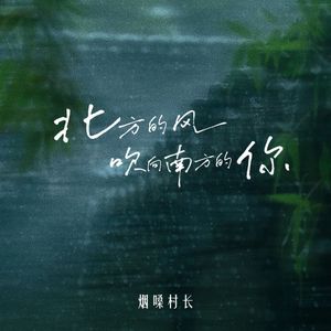 北方的风吹向南方的你