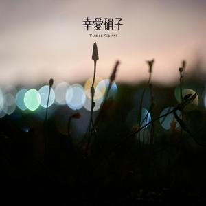 夏の背に見た夢