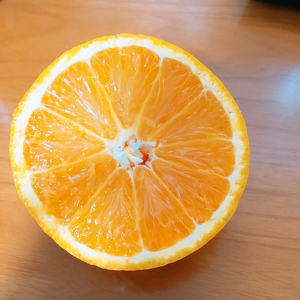 原来你也在这里