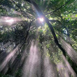 喜欢你，但害怕 李李