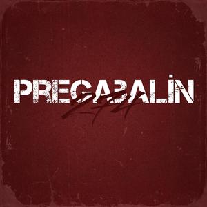 Pregabalin (feat. Thxgokce)
