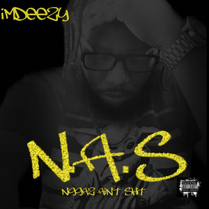 N.a.S. (Niggaz Ain’t Shit)