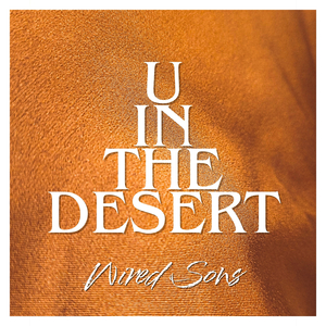U In The Desert