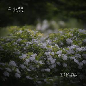 重复了几百遍