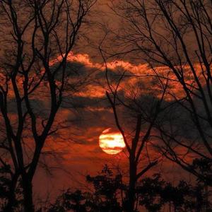 不跟你好了（翻自BigYear大年）