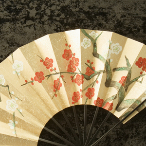 你的名字由天气之子告诉我 (BGM)