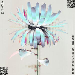 Concrete (Live) (Live)