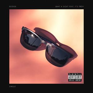 What a Sight (feat. It's Troy)