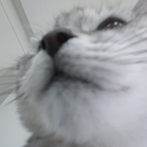 想念是无法降解的塑料