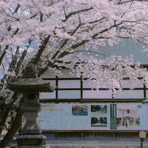 努力赚钱的样子最美