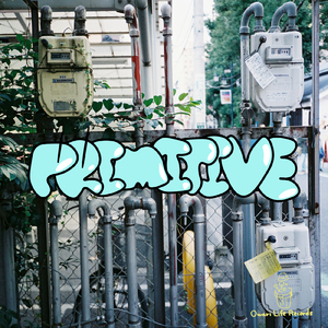 primitive