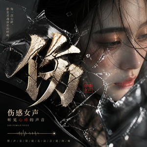 找一个字代替 （伤感女声）