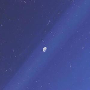 君以外害（翻自 泣き虫）