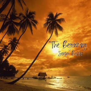The Beginning