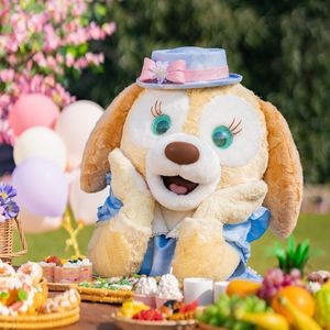 Winter Magic 冬日魔法