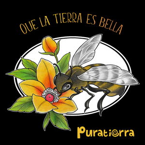 Borra De Mi Esta Tristeza