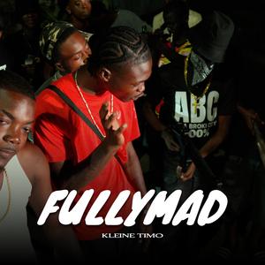 Fully Mad