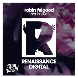 Not in Love (Dub Mix)