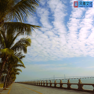 思念（轻音乐治愈钢琴曲）