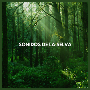 Sonidos de la Selva, Pt. Uno