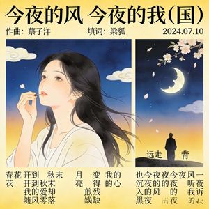 今夜的风 今夜的我
