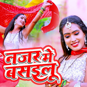 Najar Me Basailu