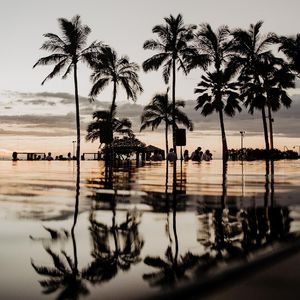 Time to pretend 钢琴