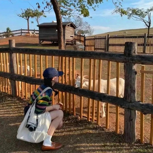 我曾见过你爱我的样子