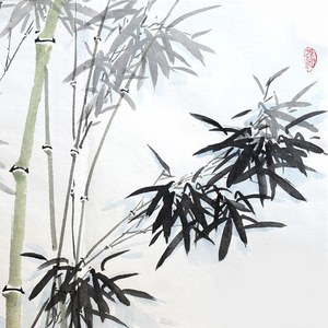 两相负 妖怪橘子&舞雪