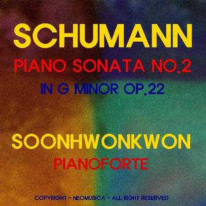 슈만: 소나타 2번 2악장 (느리게 걸어가듯) Schumann - Sonata No.2 2Nd Movement (Andantino Getragen)