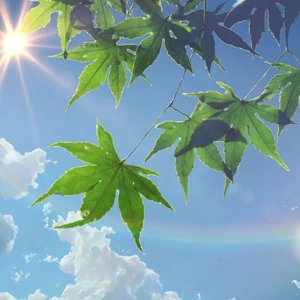 “秘而不宣的欢喜”